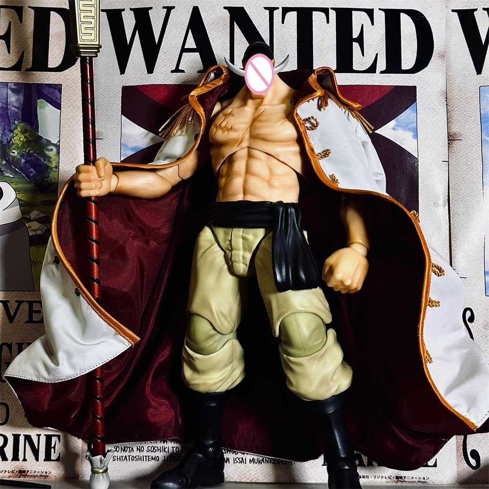 Handmade Classic Japanese Anim - Windbreaker Anime Merchandise recension och pris