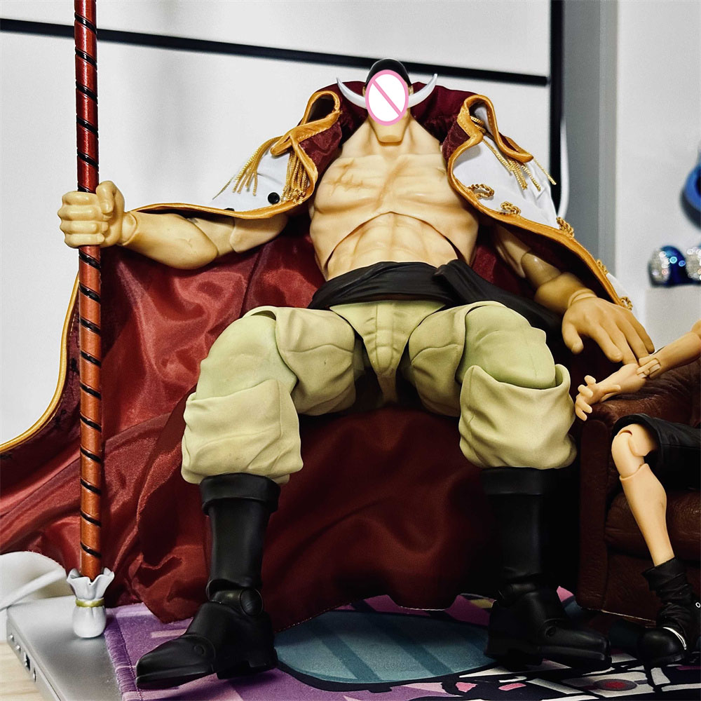 Handmade Classic Japanese Anim - Windbreaker Anime Merchandise recension och pris